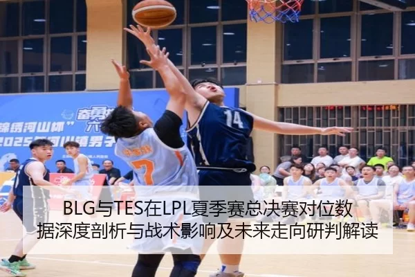 BLG与TES在LPL夏季赛总决赛对位数据深度剖析与战术影响及未来走向研判解读