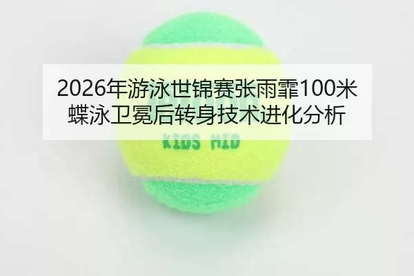 nian-you-yong-shi-jin-sai-zhang-yu-fei-mi-die-yong-wei-mian-hou-zhuan-shen-ji-shu-jin-hua-fen-xi-3-505.jpg